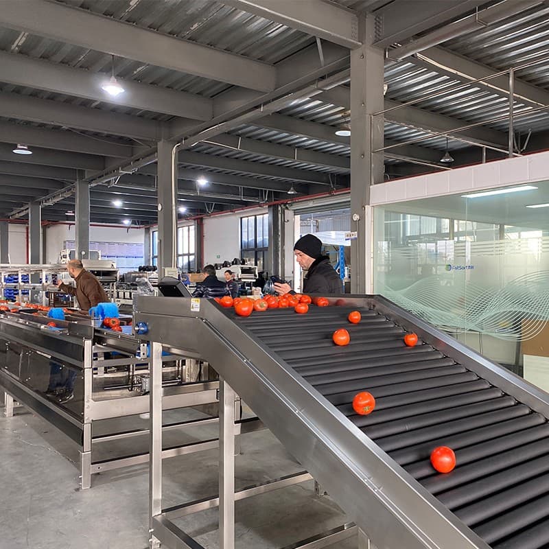 fruit vegetable sorting machine.jpg